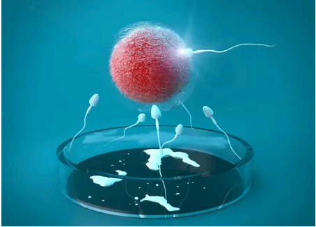 36岁卵巢早衰如何调理&哪个医院供卵快,新生儿胎毛多的原因与这几点脱不开关
